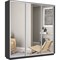 Шкаф-купе Лофт (Зеркало) 240/220/45 Ш2755