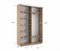 Шкаф-купе Экспресс (ЛДСП) 120/240/45 Ш1008