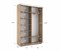 Шкаф-купе Экспресс (ЛДСП) 160/240/45 Ш1012
