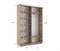 Шкаф-купе Экспресс (Зеркало, ЛДСП) 120/220/45 Ш1101