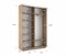 Шкаф-купе Экспресс (Зеркало, ЛДСП) 140/220/45 Ш1103