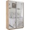 Шкаф-купе Экспресс (Зеркало) 120/240/45 Ш1202