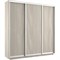 Шкаф-купе Экспресс (ЛДСП) 210/220/45 Ш1653