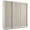 Шкаф-купе Экспресс (ЛДСП) 240/240/45 Ш1656