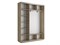 Шкаф-купе Экспресс (Зеркало-2, ЛДСП) 210/220/45 Ш1853