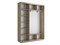 Шкаф-купе Экспресс (Зеркало) 180/220/45 Ш1951