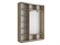 Шкаф-купе Экспресс (Зеркало) 210/220/45 Ш1953
