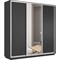 Шкаф-купе Лофт (Зеркало, ЛДСП) 240/240/60 Ш2156