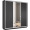 Шкаф-купе Лофт (Зеркало, ЛДСП) 240/220/45 Ш2455