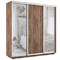 Шкаф-купе Лофт (Зеркало-2, ЛДСП) 240/220/60 Ш2255