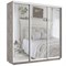Шкаф-купе Лофт (Зеркало) 210/240/60 Ш2554