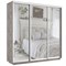 Шкаф-купе Лофт (Зеркало) 240/220/60 Ш2555
