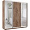 Шкаф-купе Лофт (Зеркало-2, ЛДСП) 210/220/45 Ш2653