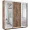 Шкаф-купе Лофт (Зеркало-2, ЛДСП) 210/240/45 Ш2654