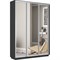 Шкаф-купе Лофт (Зеркало) 180/220/45 Ш2751