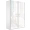 Шкаф-купе Прайм 1200/2300/570 Белое стекло 2370
