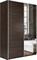 Шкаф-купе Прайм (Зеркало/ЛДСП) 120/230/57 П1004