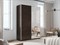 Шкаф-купе Прайм (Зеркало/ЛДСП) 160/230/57 П1006